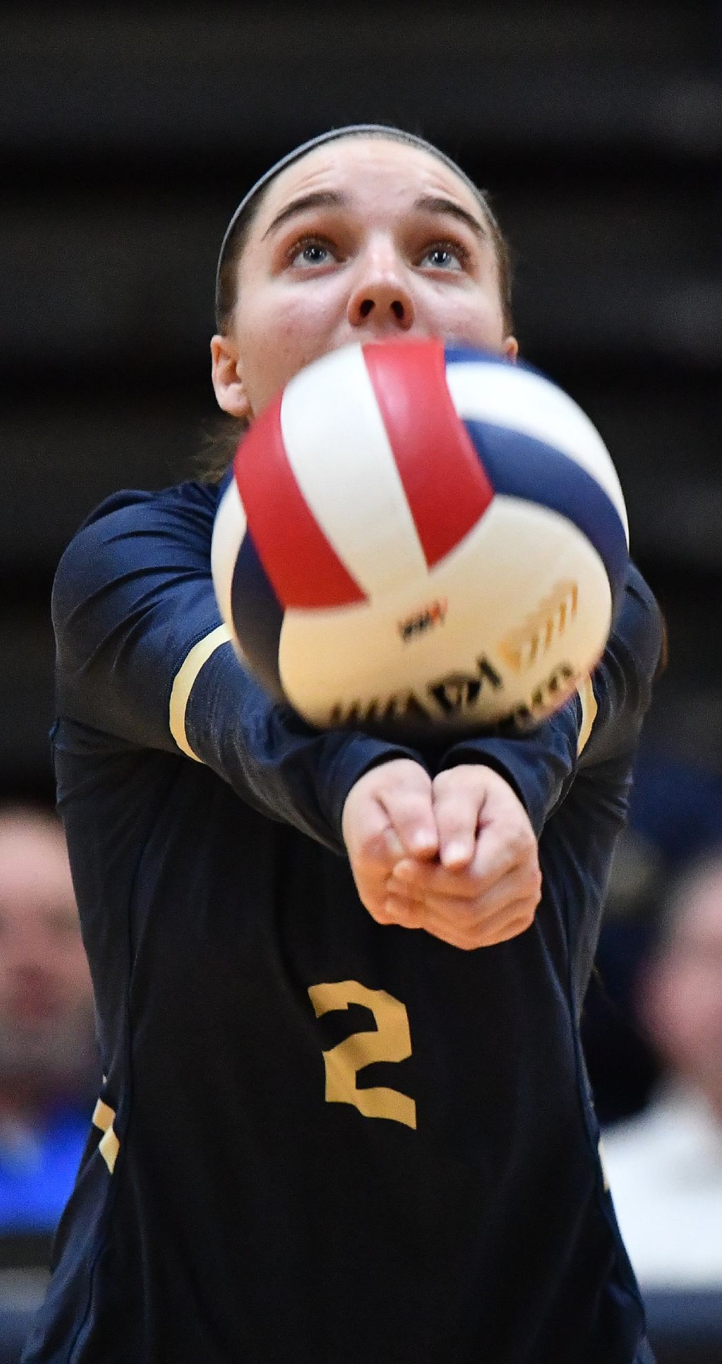 Althoff vs Minooka in 4A Volleyball Sectional Final